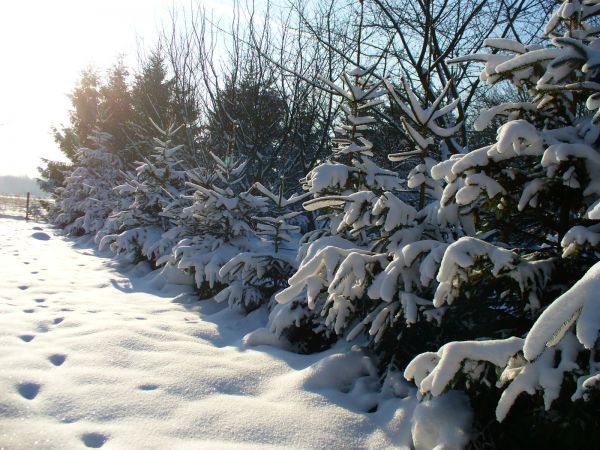 Polecam piękną miejscowość. Okolica spokojna, urokliwa, idealna do zamieszkania w ciszy spokoju i otoczeniu zieleni, ptaków i zwierząt.