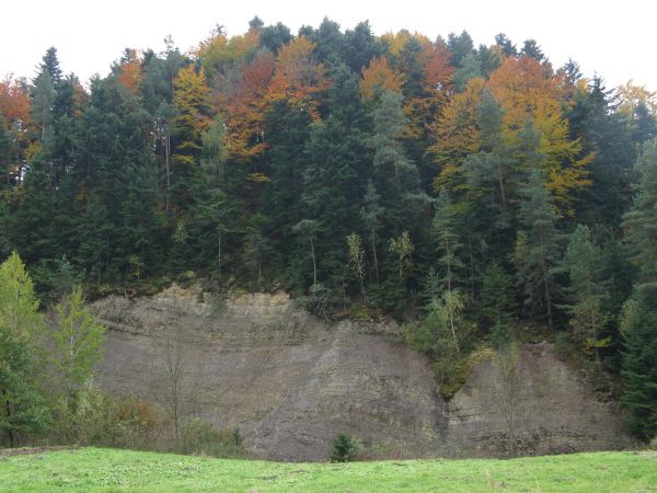 Urwisko fliszowe - n-ko szkoły, okazuje sie być starą kopalnią rudy żelaza, działającą do 1820 roku, a poniżej potok Janicki. W latach 70-tych XX wieku zlokaliz