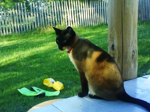 zdjecie Maćkowa Ruda