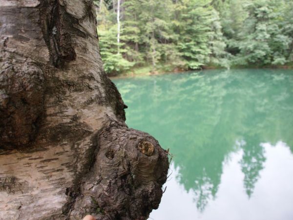 Kolorowe Jeziorka w Rudawach Janowickich (Jeziorko Niebieskie)