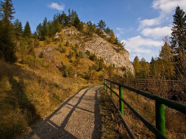 PIENINY-REZERWAT BIAŁA WODA