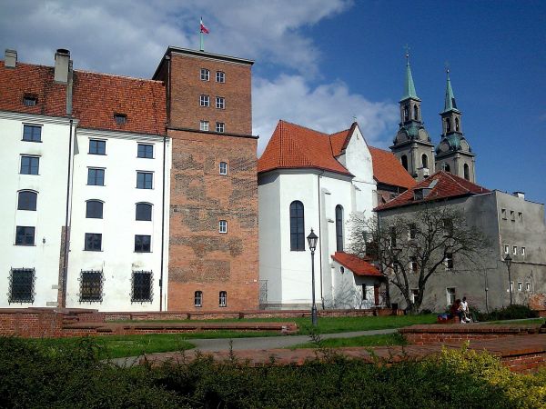 Zamek Piastów Śląskich