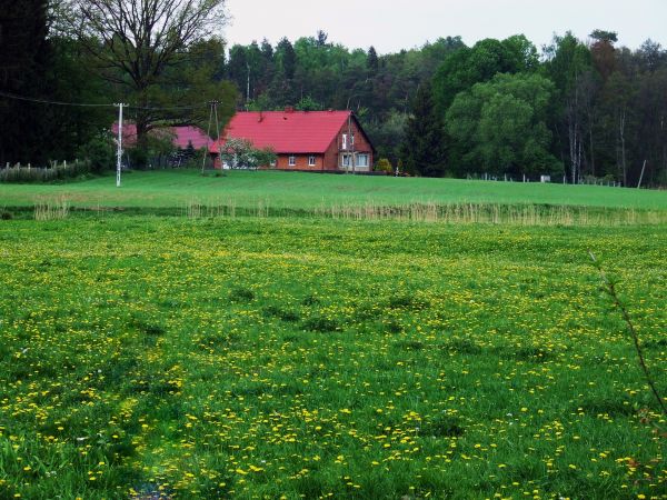 Leśniczówka w Adamowie