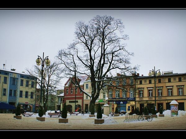 Lubliniec położony jest nad rzeką Lublinicą w dolinie Małej Panwi. Jest miastem w województwie śląskim, usytuowanym w jego północno-zachodniej części. Jest ważn