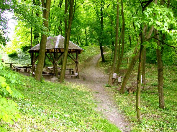 Przepiękny zabytkowy park