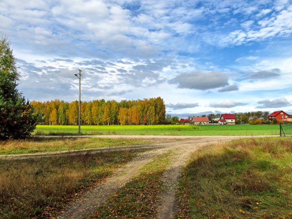 Dojście do ulicy Wiśniowej. W tyle widać fragment lasku oraz osiedle domków jednorodzinnych