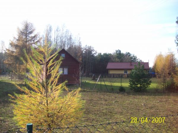 zdjecie Kamienica Królewska