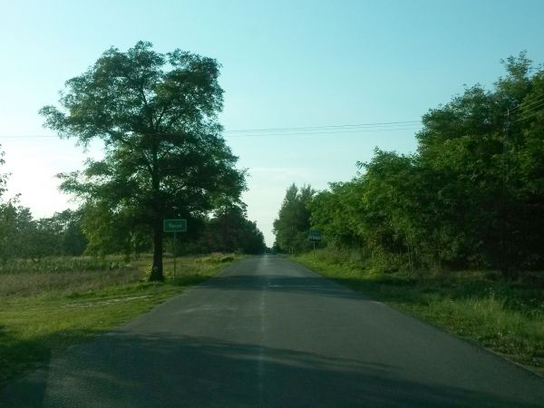 Zdjęcia Toruń (pow. chełmski)