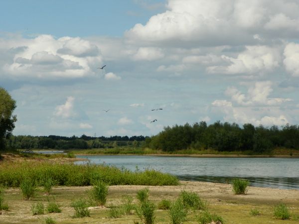 Jezioro Mietków -od strony Domanic