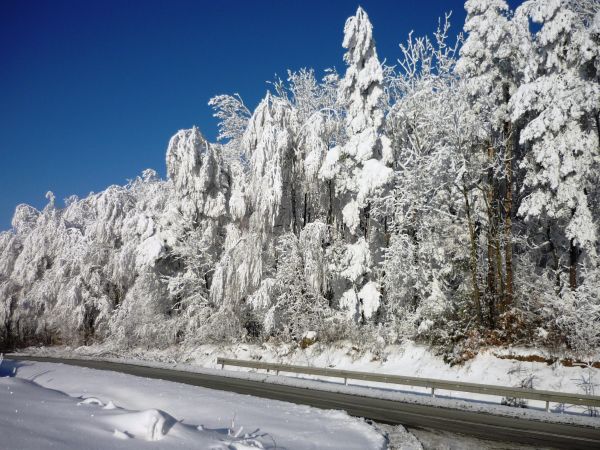 Zimowe krajobrazy z trasy do Arłamowa na Pogórzu Przemyskim.