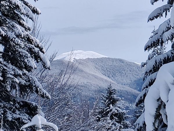 Sylwester i Nowy Rok w Cisnej