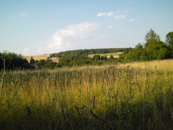 zdjecie Orłów Murowany