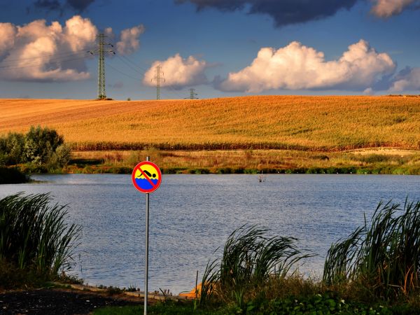 zdjecie Wodzisław Śląski