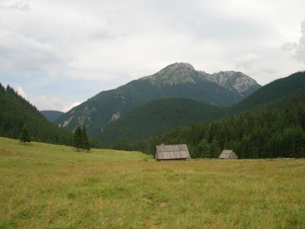 Dolina Chochołowska
