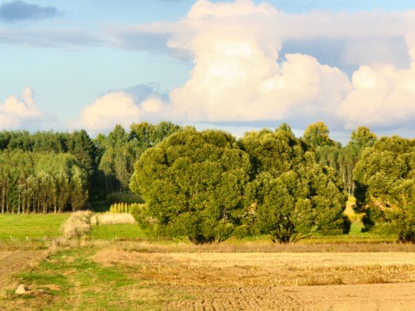 zdjecie Tyniewicze Duże
