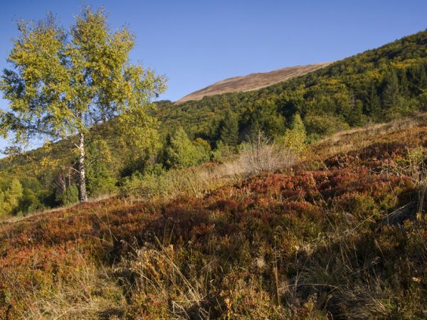 Na Połoninie Caryńskiej