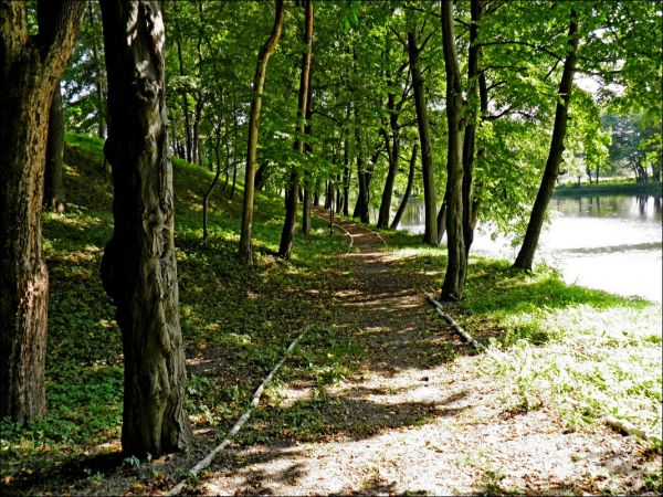 Dwór Szlachecki z końca XIX wieku otoczony parkiem krajobrazowym i stawem. Do 1945 roku należał do rodziny hrabiów Łastowieckich.