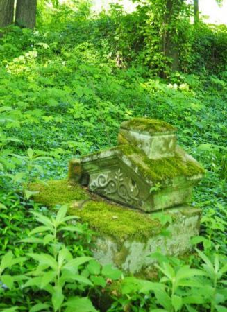 pojedyncze krzyże, kilka metalowych - współczesnych, symbolizujące pochówki z dalszej przeszłości, są też pomniki i krzyże nagrobne kamienne - o różnym stopniu