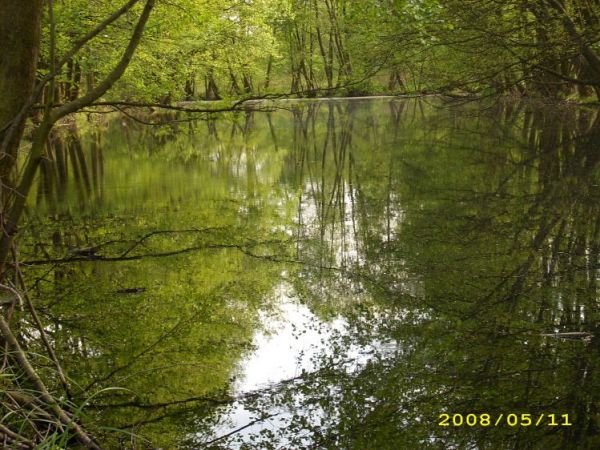 "Ludzie często nie cenią tego,
za co sowicie nie zapłacą"