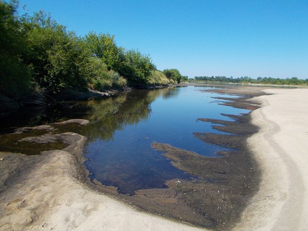 Błękitna laguna w Brzostkowie  nad Wisłą?
