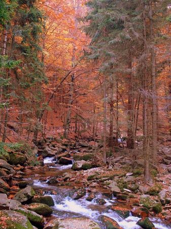 Potok górski w Szklarskiej Porębie