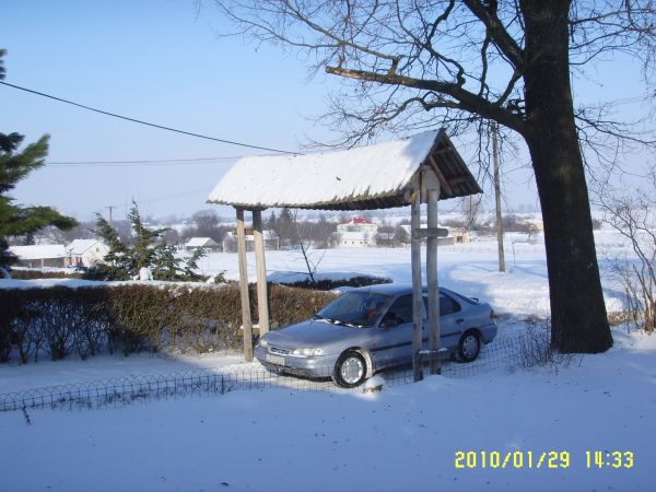 Brama wjazowa na "RANCZO" w Zrebcach foto. Seweryn