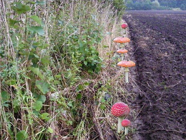 zdjecie Żarki Średnie