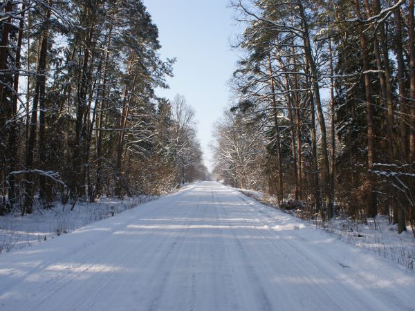 zdjecie Jagodne Wielkie