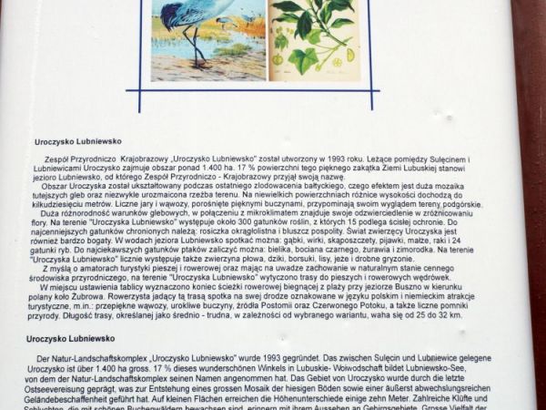 Uroczysko Lubniewsko koło Lubniewic-Dzika przyroda,ściezki rowerowe