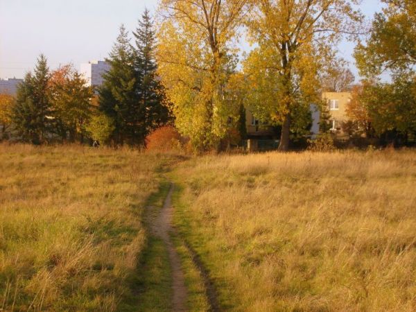 Pejzaż jesienny- Legnica, Osiedle Piekary..