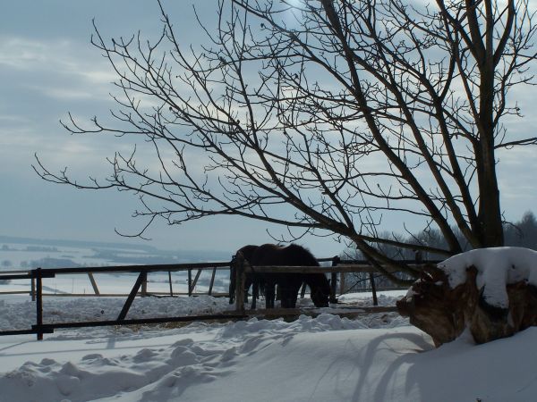 zdjecie Bończa-Kolonia