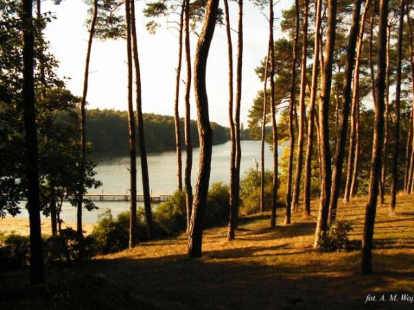 Jarosławki -Manhattan