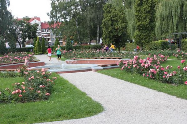 Park różany / Szczecinek
