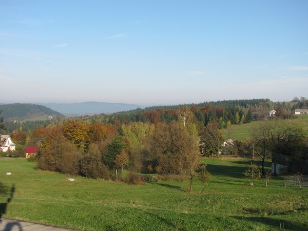 Złociste  widoki natura 2009