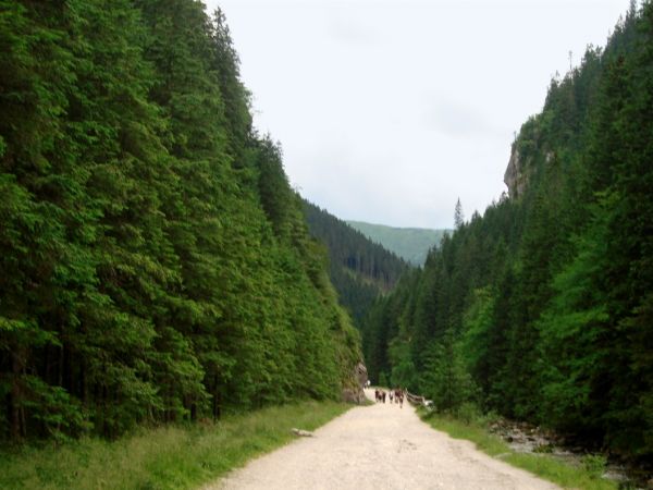 Dolina Chochołowska, Kościelisko