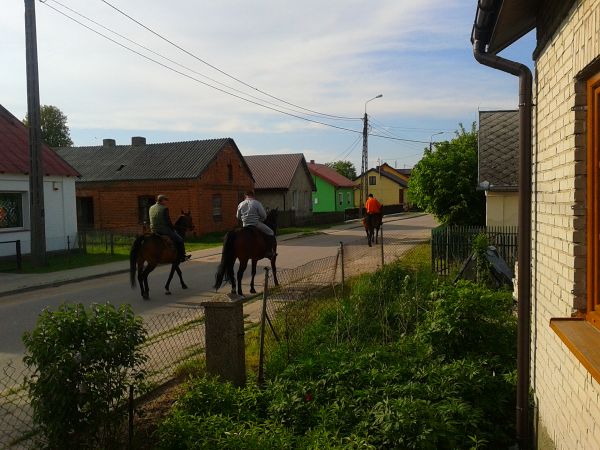 Konno ulicami Zalesia