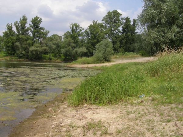 Głogów  Famaba z tyłu fot. 3