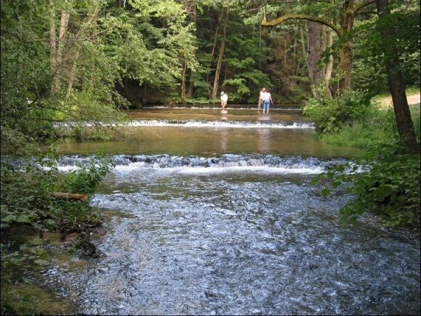 W rezerwacie "Nad Tanwią" znajduje się jedna z największych atrakcji Roztocza. Na odcinku 300 m rzeka Tanew przepływa przez 24 progi skalne zwane "szumami".