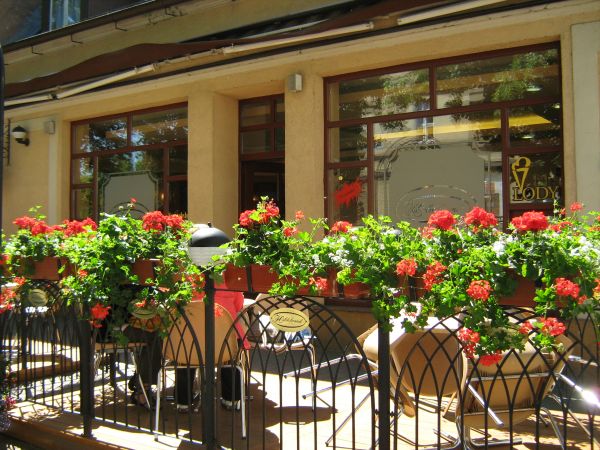 Wolsztyn, ogródek kawiarni " Aleksandra" przy Rynku.