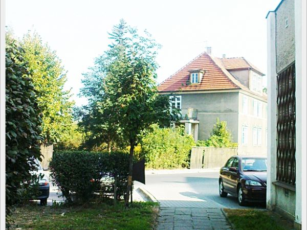 zdjecie Sulechów