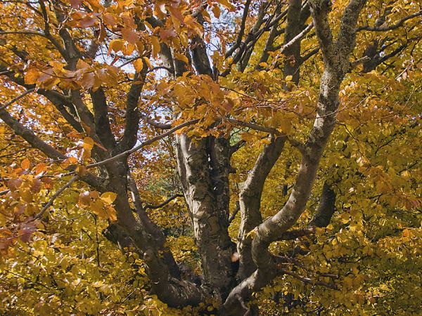 zdjecie Sucha Dolina