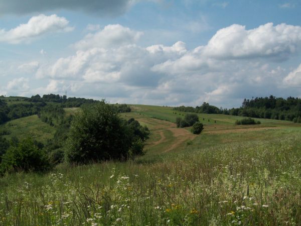 Krzemienna gm. Dydnia