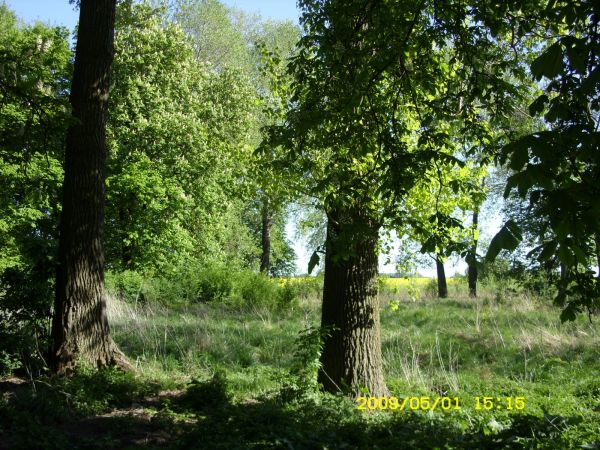 Zdjęcia Chocicza Mała