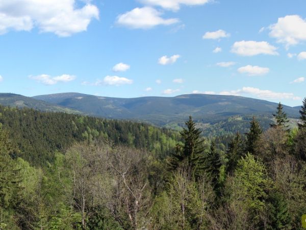 Widok z góry iglicznej