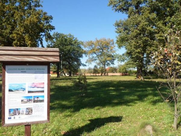 przy parku podworskim - tam 400 - letnie dęby - pomnikowe !