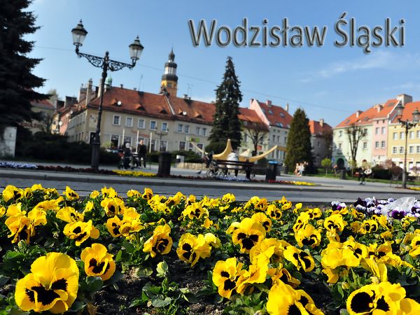 zdjecie Wodzisław Śląski