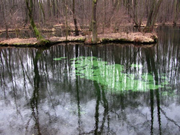 zdjecie Tomaszów Mazowiecki