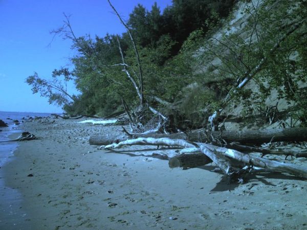 Gdynia Redłowo,plaża