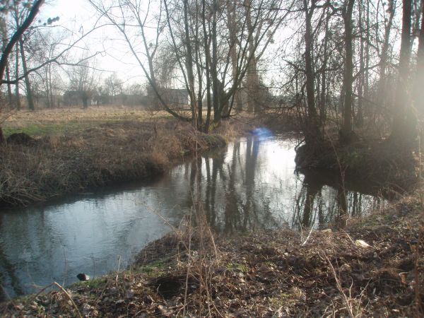 zdjecie Chrząchówek