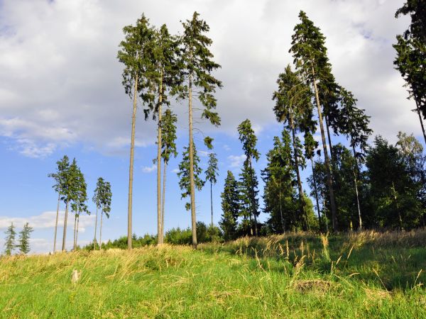 Ścinawka Górna- okolice